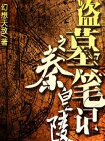 Tomb Robbery Notes: Qin Emperors Mausoleum 2